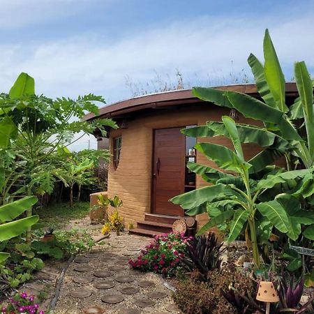 فيلا Pôrto de Pedrasفي Eco Loft Maymuna: Seu Loft Ecologico Pertinho Da Praia المظهر الخارجي الصورة