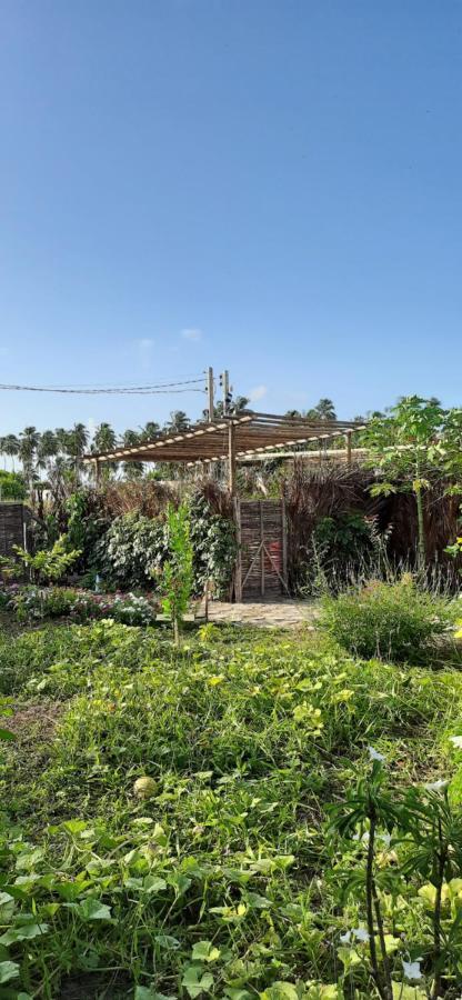 فيلا Pôrto de Pedrasفي Eco Loft Maymuna: Seu Loft Ecologico Pertinho Da Praia المظهر الخارجي الصورة